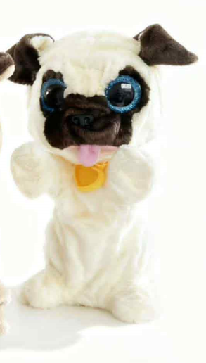 ქართულად მოლაპარაკე ძაღლი