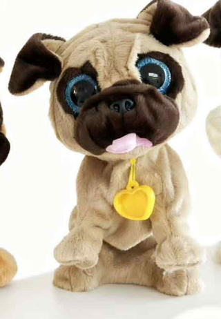 ქართულად მოლაპარაკე ძაღლი