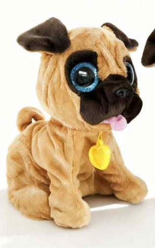 ქართულად მოლაპარაკე ძაღლი