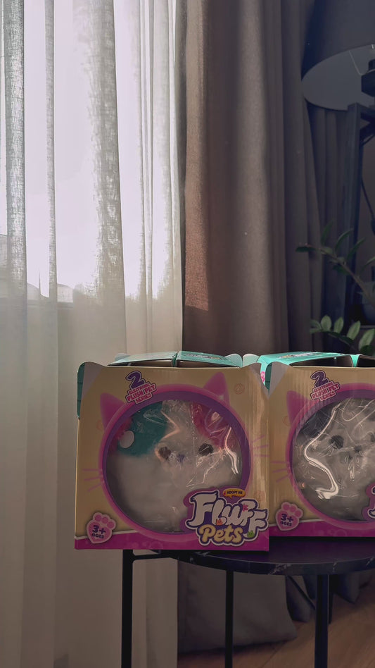 ინტერაქციული ფისო